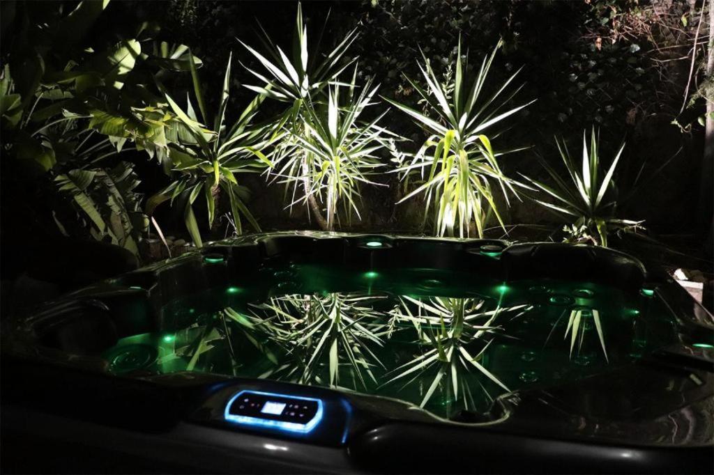 Luxury Jacuzzi Home & Terraces 말라가 외부 사진